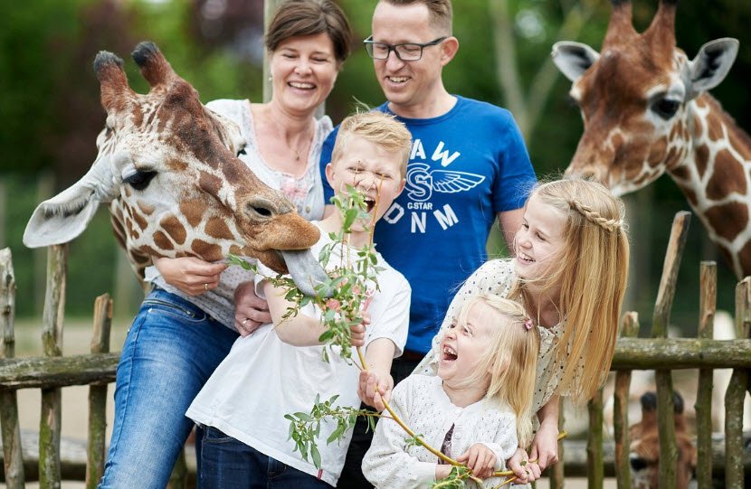 Odense Zoo, Odense, Funen, Denmark